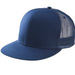 ca75e2ad5c038f193957360f4f60f3572b9d531225ea25a3ef7e34b3a3edd1db-5 - Hidalgo