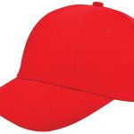 12b44b256f0e9eee42ccebc26f1e3a8ebc24fa479ff4ca7b056a6566cd0441ff - Hidalgo