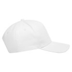 1a37f0d73f1cbfaadb4a169ce1d3c855fc855243387f61ce451db4987ce1b94b - Hidalgo