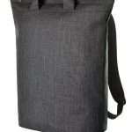 2a142251a068dfb4604a19e0056bade05af917ed61eb48774a87294e68c6ee29 - Hidalgo