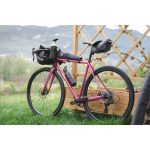 31710c3972b601e5f4976be664480a68d5a392767f5c3b5771a9e167819a6356 - Hidalgo