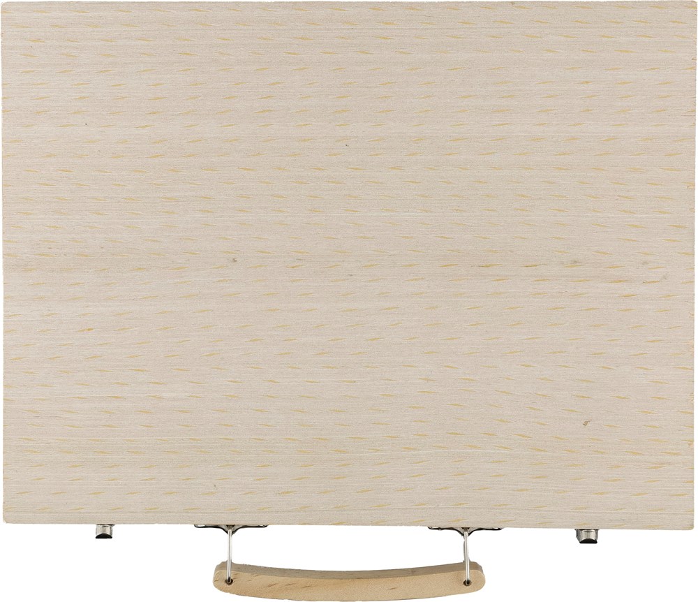 4a919eacd4c7495d8d3c6d2e967c803bd547dcf8607d17f3574d1fca6a4fcf94 - Hidalgo