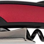 4d9314501334c20c585f43a36a575b9441d9ab3ae92b99d14cf801fb9b5a6401 - Hidalgo