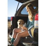 65fe84b09363d92222f0cd5f60dda7d914550935350830389e5e50b0f30da0f0 - Hidalgo