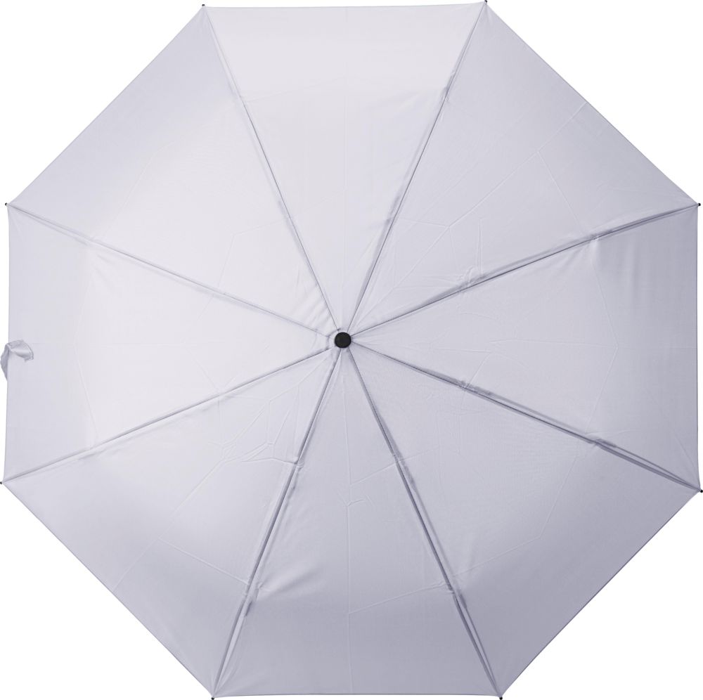 821616ed2530d406966c669944d2bde7b33839f9fc041b6fa65f900cb66f49d7 - Hidalgo