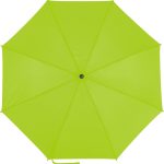 857b31bf5fd9abe04f5c10bfda72fa0154bb1cbf8fc127d0ce2054b9198cb0fb - Hidalgo