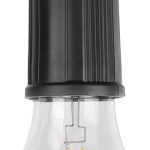 85cf6476718ceb408ce392a81783a90e700b0f824323013ab713d4275352ef12 - Hidalgo