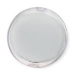 91f980a6c7dc3bf83efc8b67e492fe15a8d87b47f95d25423f20de9a5ab3355f - Hidalgo