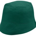 a2bdf746c976a3de45bff3ccbe27d90774161cff50ed90aa66e882147fc71caf - Hidalgo