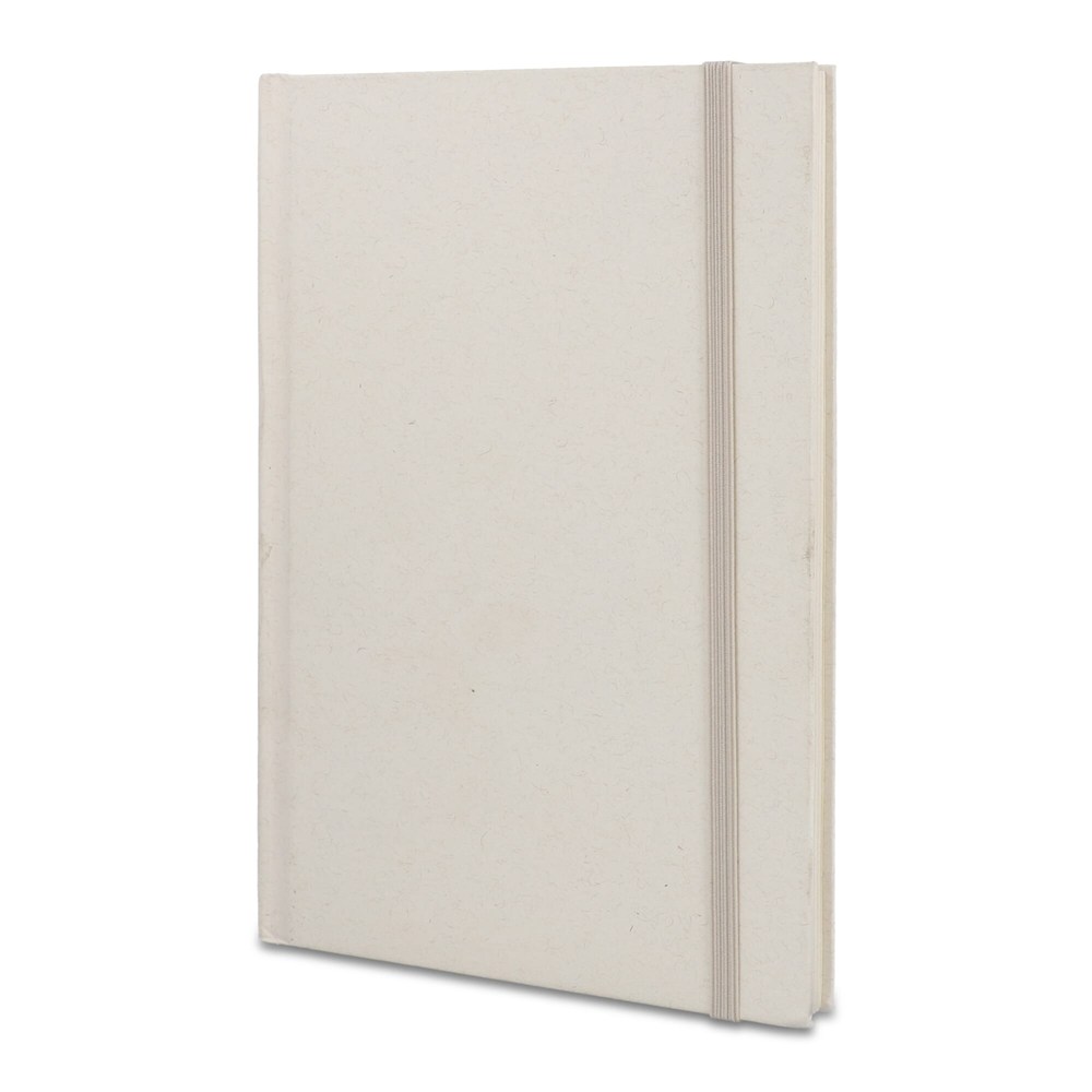 a36cf4d444f235c8cd8eb0a37e584ea9c63b73bdba31eb4be9e9efde7ac58ad0 - Hidalgo