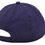 a741997b537d1aff5cbe6851d9e05ab6c783b110d81b0f5f50cd05e2117082d4 - Hidalgo