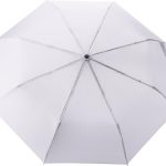 b28d16f2336ec404fc7b5752c7c9492e44356a8b580d70dc792e3f1aba89cede | Hidalgo