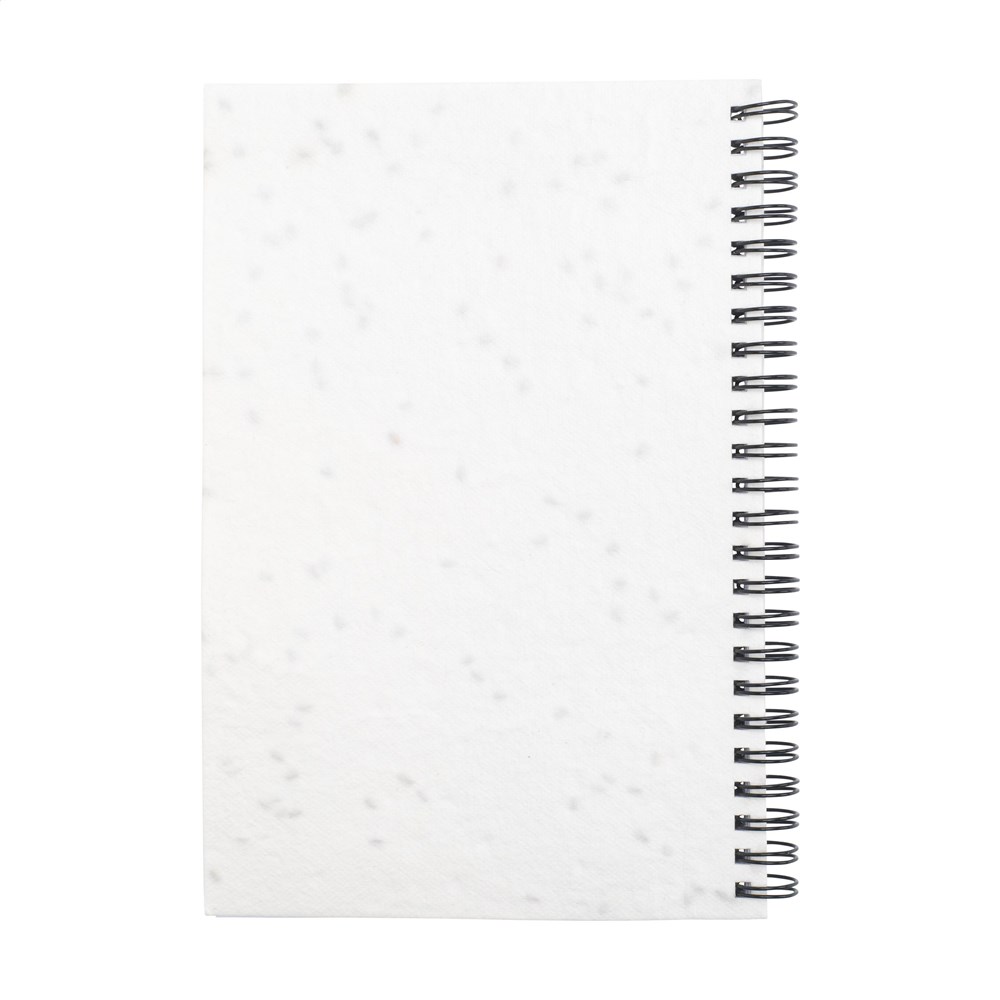 b2ce37b95d1d2babe32fb744f9224ddac3dcfe05d63eadbce83f741f36726958 - Hidalgo