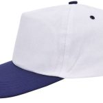 c334a63a0898706305a95f196e2b7858f100d5f7d42ab25865e96ed893fcb8fe - Hidalgo