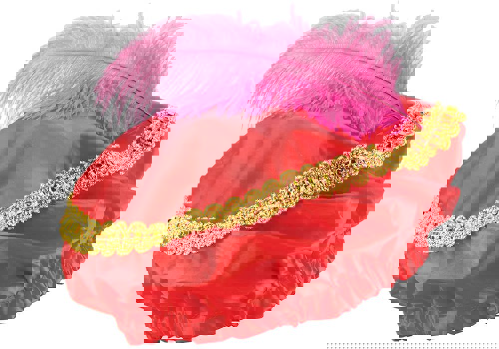 c49d714657c3d5e00186a95e24a917c29a4bd556374b4b3451bdd4b8f545851f - Hidalgo