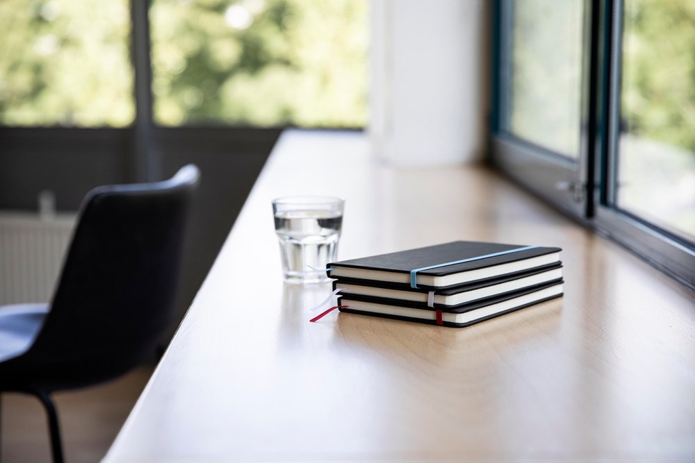 cdabb3e2012494bb5542c07695713f7aabf77b8afbc91e9851f6193b0a109f27 - Hidalgo