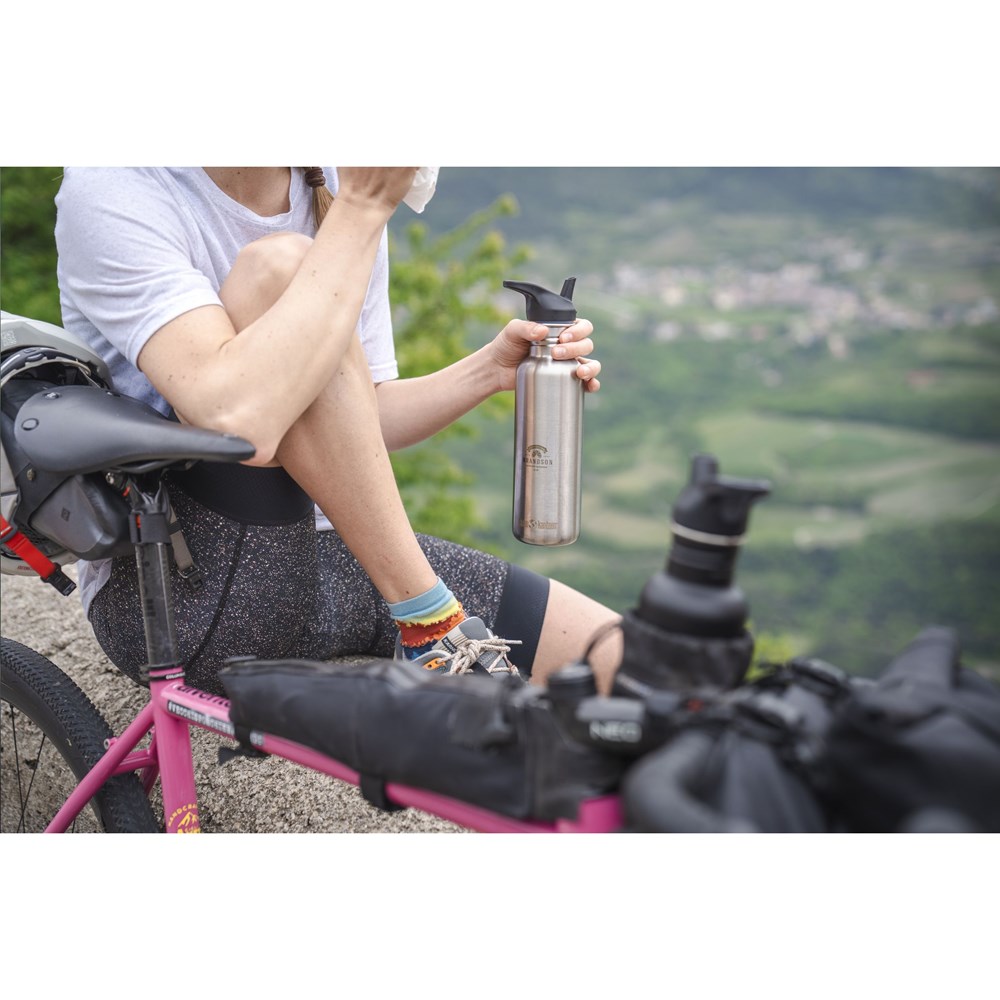 d419d21bf4d599925e8ee36420d63ef1c2c46c979f2ed73ac3bdb6d7f9e15705 - Hidalgo