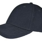 e0b2a09bd3eee7cdea98a8890fa6074a6eff84078f56baca923835c8da5c1840 - Hidalgo