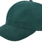 e3c46451a9896975c70fdc7aae322ce34578455ca800e572336561f8130c9934 - Hidalgo