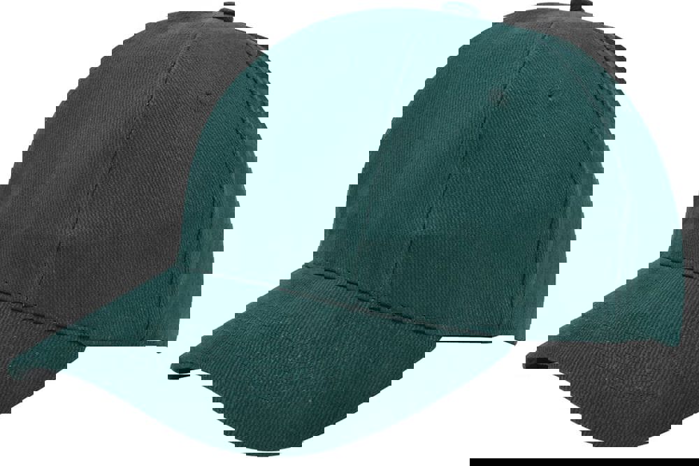 e3c46451a9896975c70fdc7aae322ce34578455ca800e572336561f8130c9934 - Hidalgo