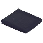 ea45ec613058a39635525a78b917625be88ff9f3c3b271d786b686407d8905a9 - Hidalgo