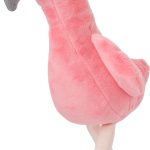 ef00ec67e7f21f1b9297acab079eaf0d9ba39bda77e531da354829210522ff5c - Hidalgo