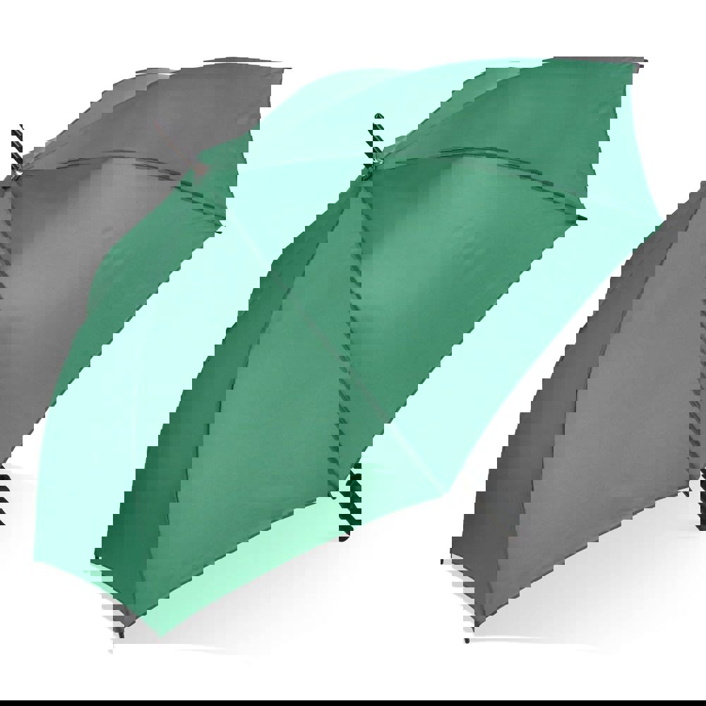 00eb158f95aaa18c414903ee1dfe178168c71ebb877c22fa1bddd6d1f89abb7e - Hidalgo