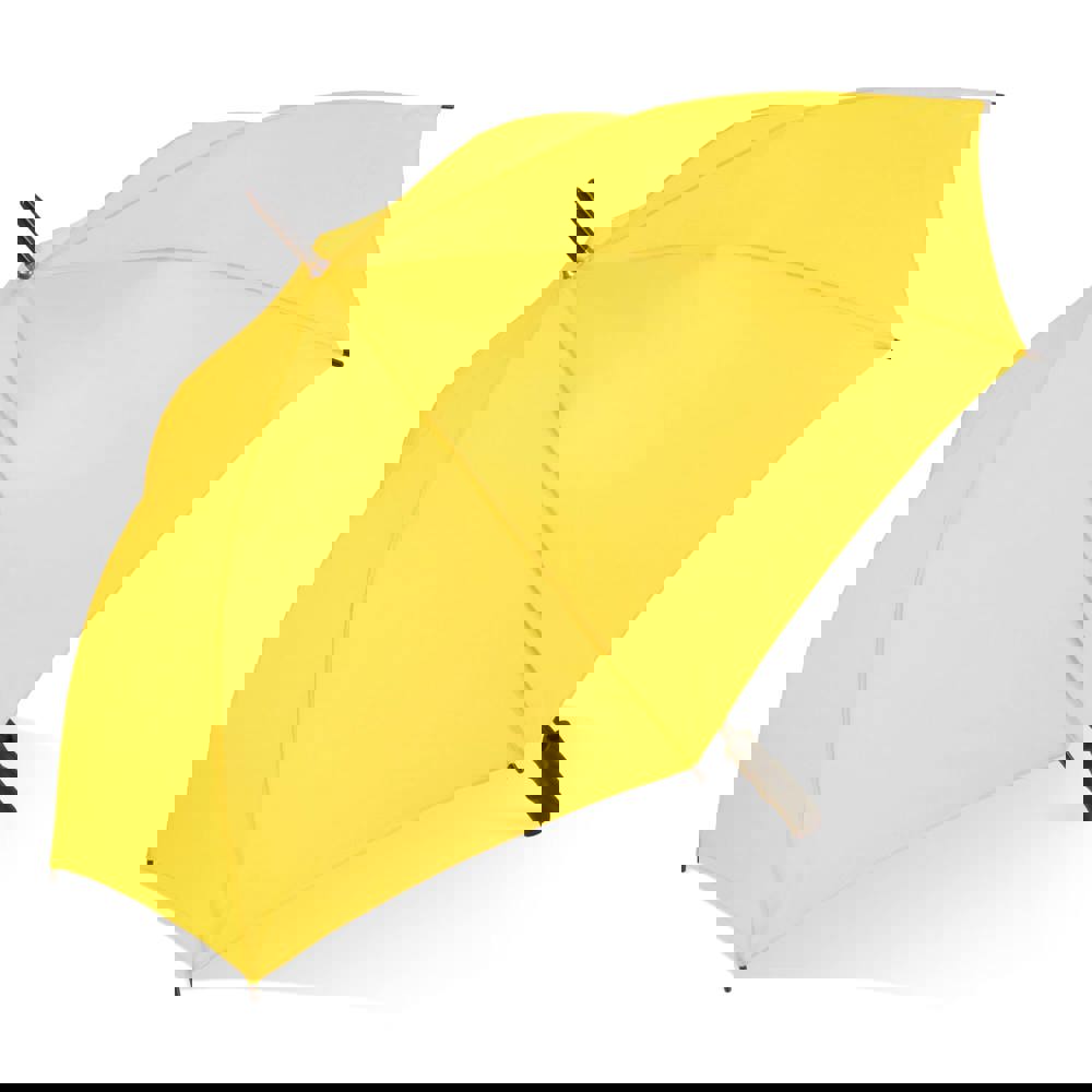 0857038dd0fe08fb3654145149088181b75d86c3aefdfdd91f51165ef02e8cfc - Hidalgo