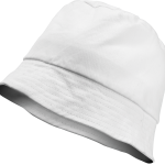 0d8bde717e9f813cc995fc9c884b2a28f163f0b2cd26d8f1e200b286cab5ceba - Hidalgo