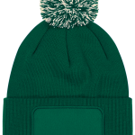 1cd1ca9663275f4cceab60b966b775eca8680b28c07756913673a7e61ed5b384 - Hidalgo