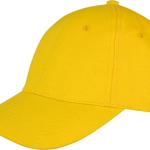 1d982ac82d51c5ffc7c2b061d8ffe32260a4dbd0ad847ffdcc49383fee6685f5 - Hidalgo