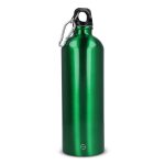 1f171e1033241c0d81510e18481344ad97b4f2b662b2e1150be9826826330337 - Hidalgo