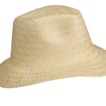 266fe9d773ce52c163e568807c5ff3a088e238a552bed406b96640901079c3b0 - Hidalgo