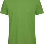 267a1a0d6f6000731c3a9dd9a16dd7baa9212043883e6edd342d82fdc3441624 - Hidalgo