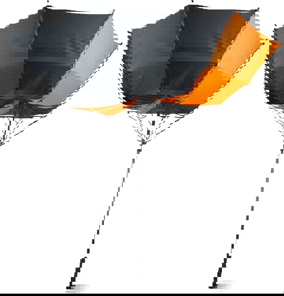 2f91f60fdc0154daedbeec95c64f540bc139c356483a68673d84eb3bd732444b - Hidalgo