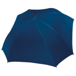 38a5d708bc9b80ba6736e6eeaf312ad48a24a32fc3127b08f9954a2e4f531924 - Hidalgo