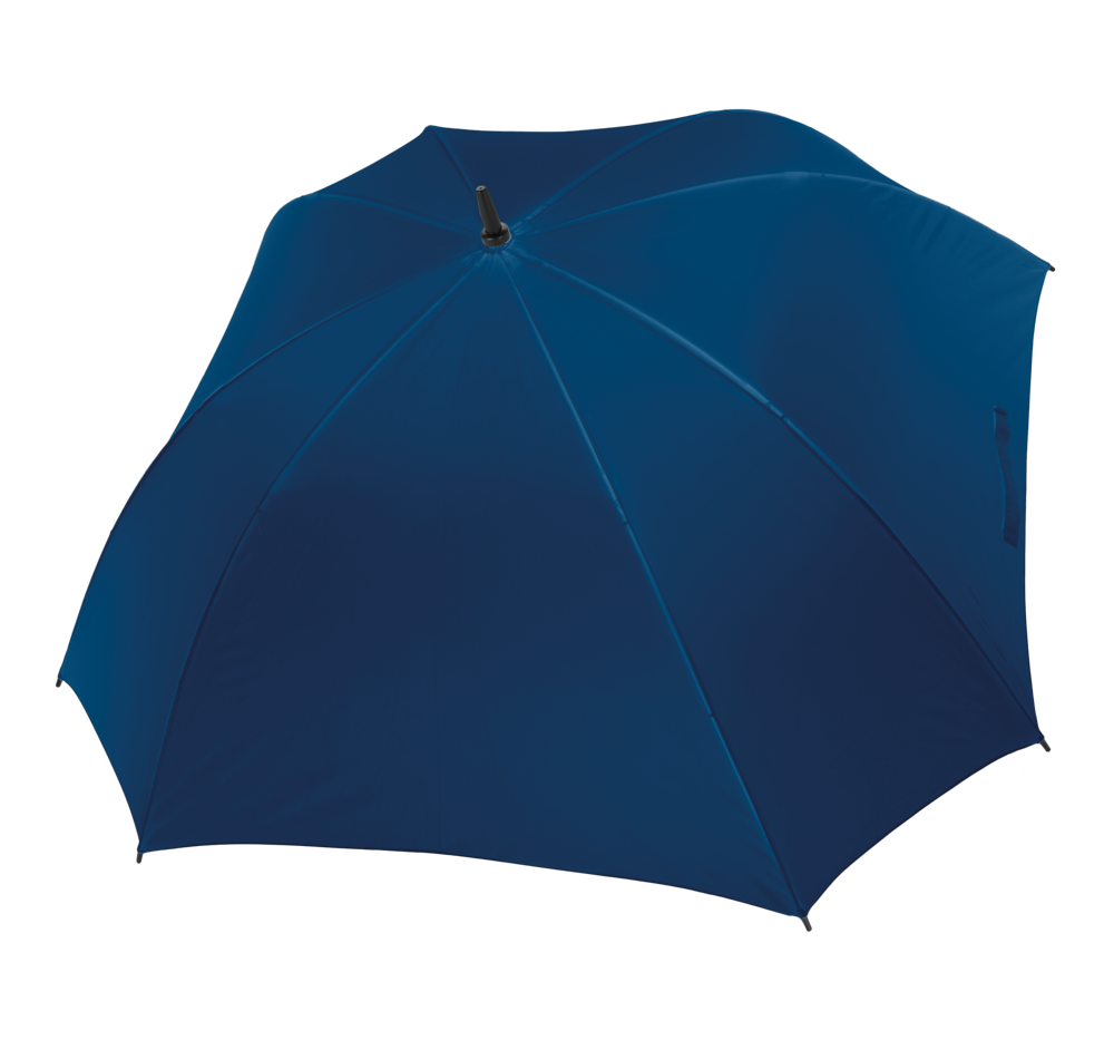 38a5d708bc9b80ba6736e6eeaf312ad48a24a32fc3127b08f9954a2e4f531924 - Hidalgo