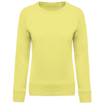 43bddd976d129358297b08022f8704c643427a411521b2bf014fbe124a036a55 - Hidalgo