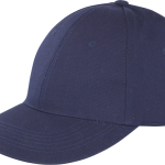 464bef50753d84a4c8b3e073d2a5050d6b696efd04bfd821cfc3b705cc66b987 - Hidalgo