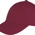 484e07ab394c53339da8d2a65a201bba68639d7ce5f5e5855df274ca707db959 - Hidalgo