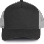 50465265ec33500e49dc648fa660d90c6d867b361e6abb0b3523f5489fc34631 - Hidalgo