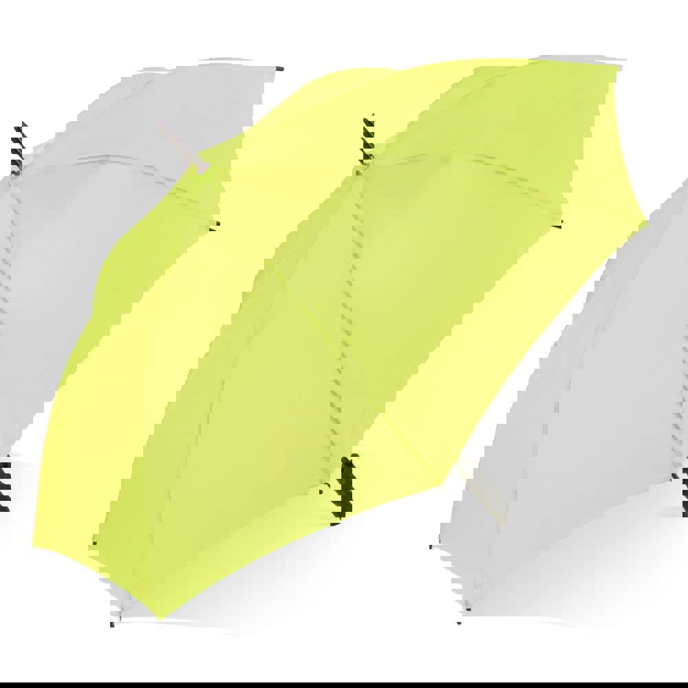 50f71066208a2ee3130f492299f8328912656d23ddaa85a3d070acff7aa04937 - Hidalgo