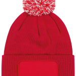 54a00db3770da82916e4048f54438efe109998b6df7baca322b56e25471546e9 - Hidalgo