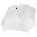 5625bf98586a722cd5186f1d3ca2e9a231ff1af26c458748a9b89d5a0d5c8fe6 - Hidalgo