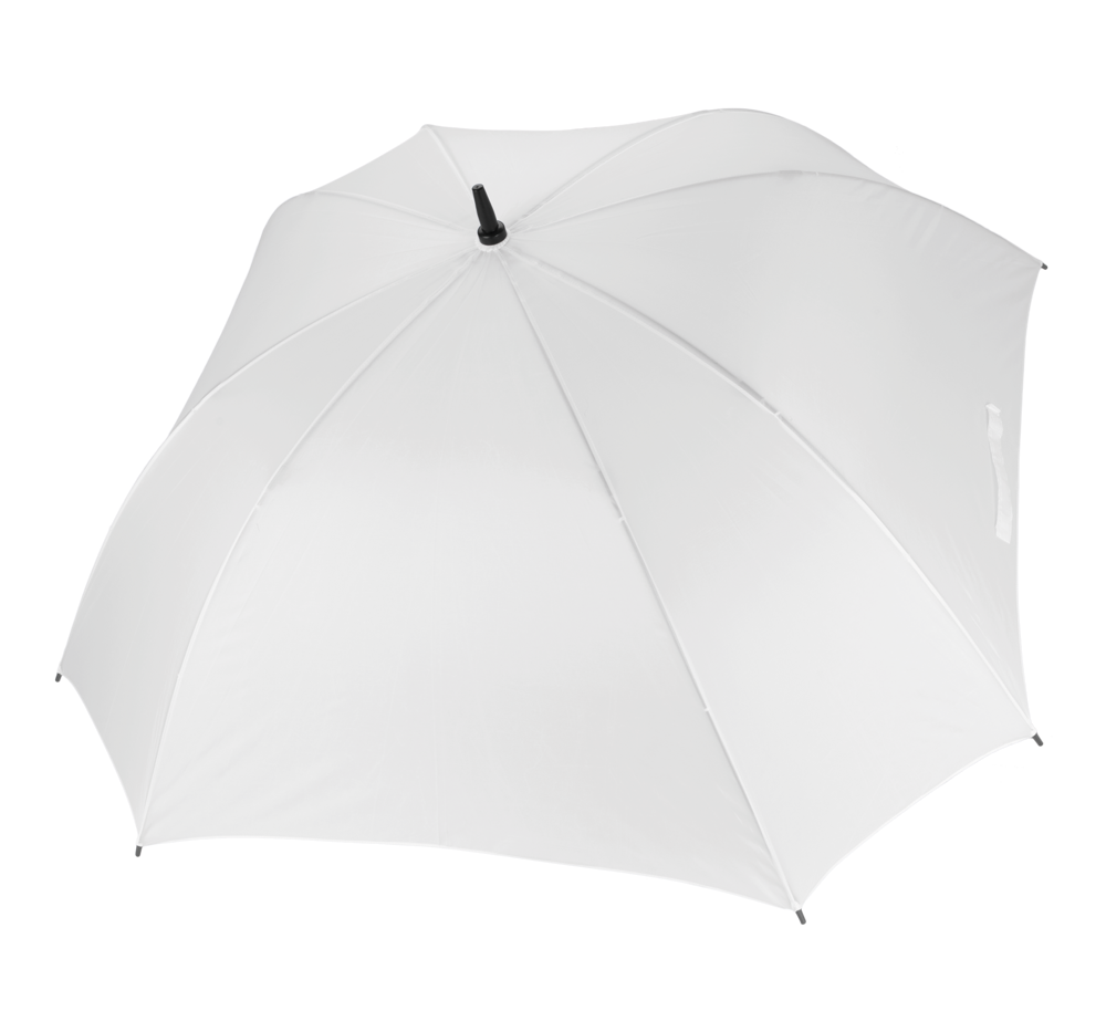 5625bf98586a722cd5186f1d3ca2e9a231ff1af26c458748a9b89d5a0d5c8fe6 - Hidalgo