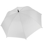 5d5b13182021ce22e07d5b3b1cb0af555fad2ba9e1cacaf83344ebaf54a003e9 - Hidalgo