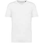 5d5c6d177397efe468b37c60437d6603c9bf3ddd3d68e1f5a6040f8e9db77a27 - Hidalgo