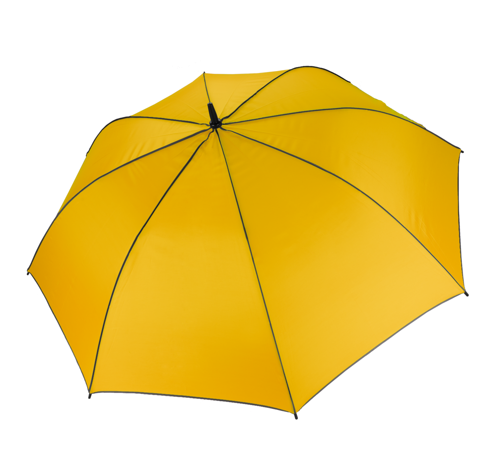 614920959becccd90855edb0c2fd307360fa7a5667419b579d8bc8e0355659a1 - Hidalgo