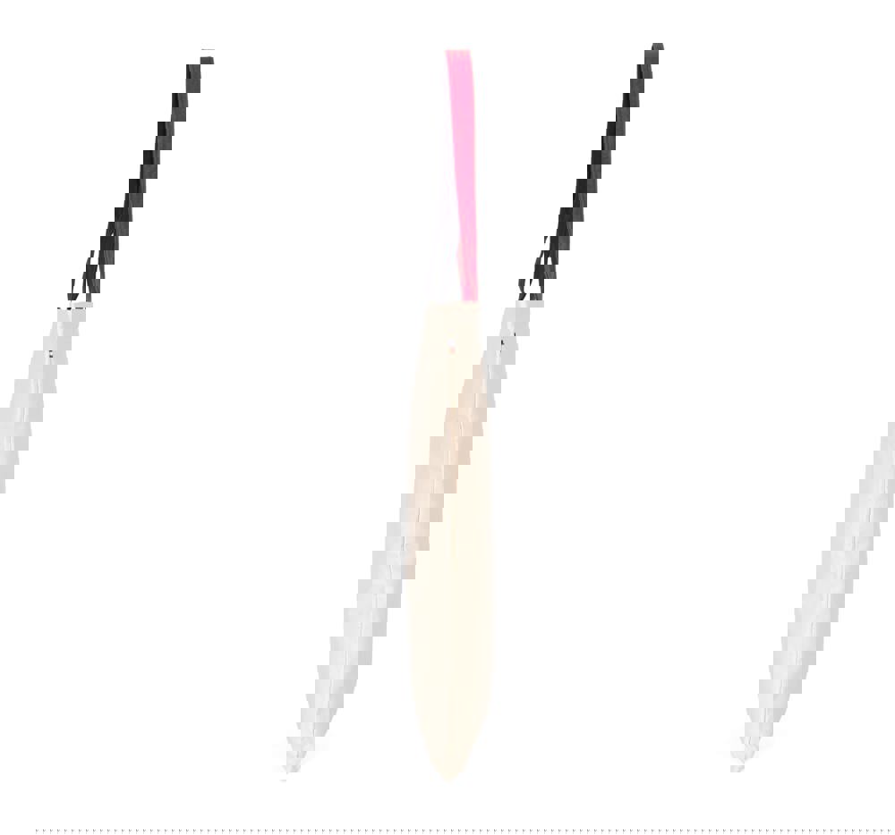 67ad71adafac31ebddfa8e7b4deb8532efac2788ac4983a0424e32ec220a8489 - Hidalgo