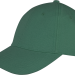 6e4d0f6b7a5e2612190fcef4690a9bd7d906f38d519e3ca27bbc59cfc7e48e5e - Hidalgo